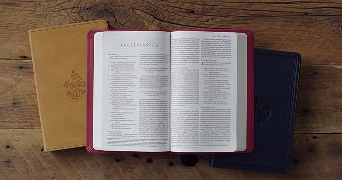 ESV Premium Gift Bible, TruTone®, Paris Sky, Fleur-de-lis Design