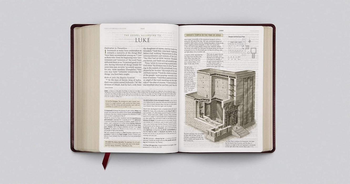 ESV Study Bible, Large Print, TruTone Mahogany Trellis Design