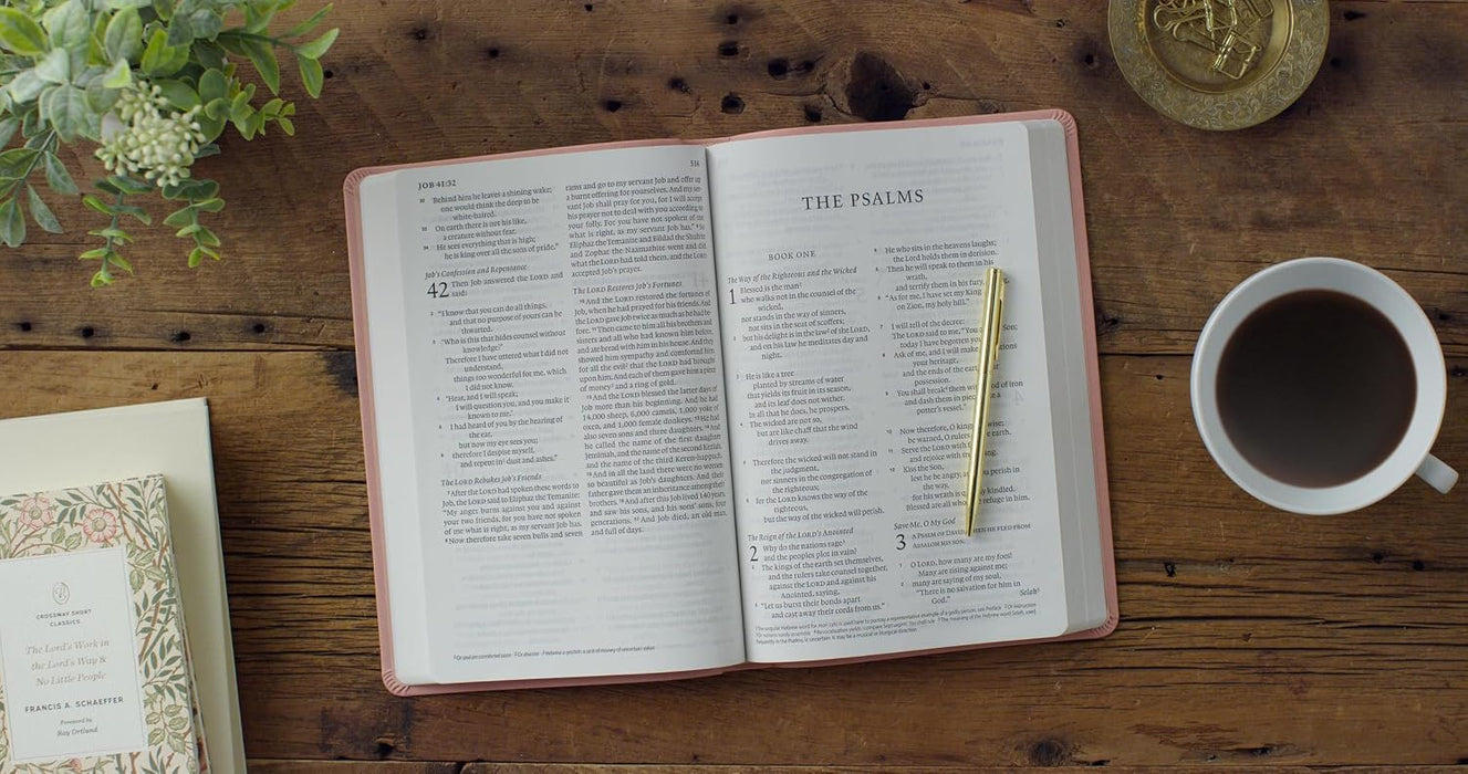 ESV Large Print Value Personal Size Bible (TruTone, Pink, Fleur-de-lis Design)