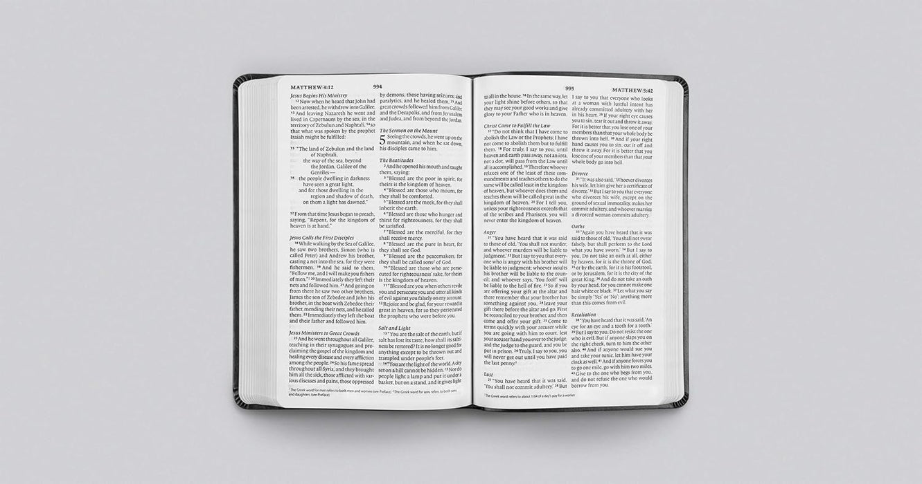 ESV Large Print Value Thinline Bible (TruTone, Black)