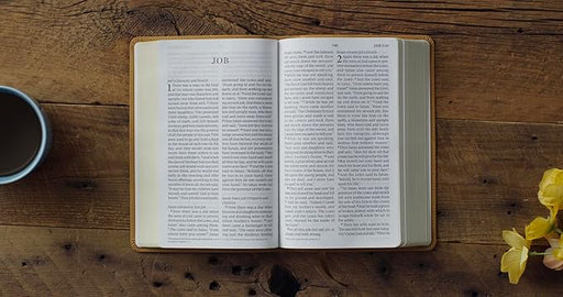 ESV Large Print Personal Size Nubuck Caramel Wildflower Design - Morning Star Christian Bookstores