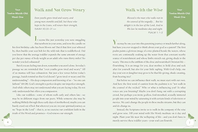 Walking in Wonder- A Devotional Journal For Moms - Morning Star Christian Bookstores