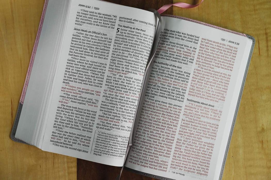 NIV Personal Size Bible Lg Print Pink/Gray Leathersoft