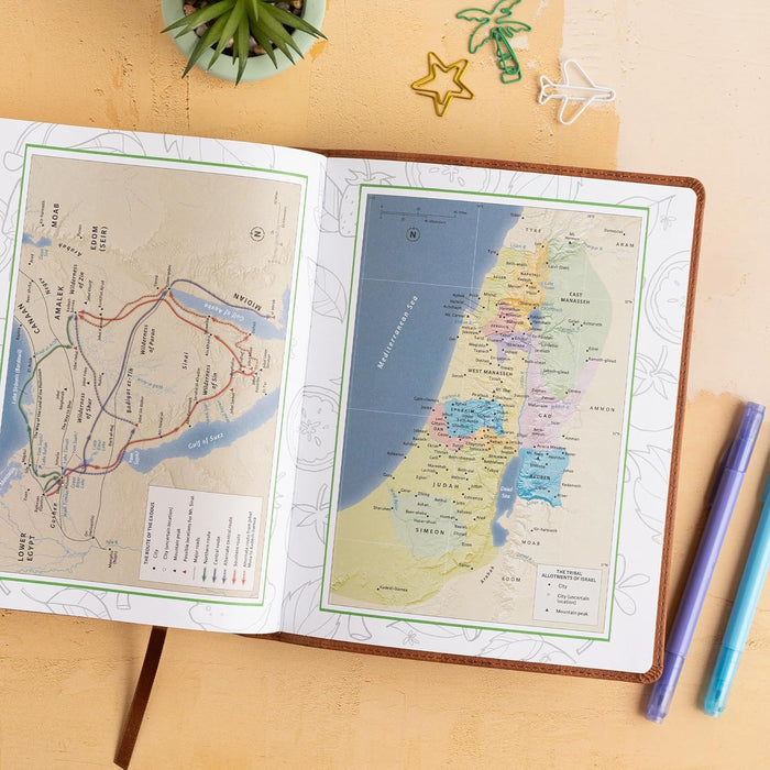 CSB Journal and Draw Bible for Kids, Brown Cork LeatherTouch