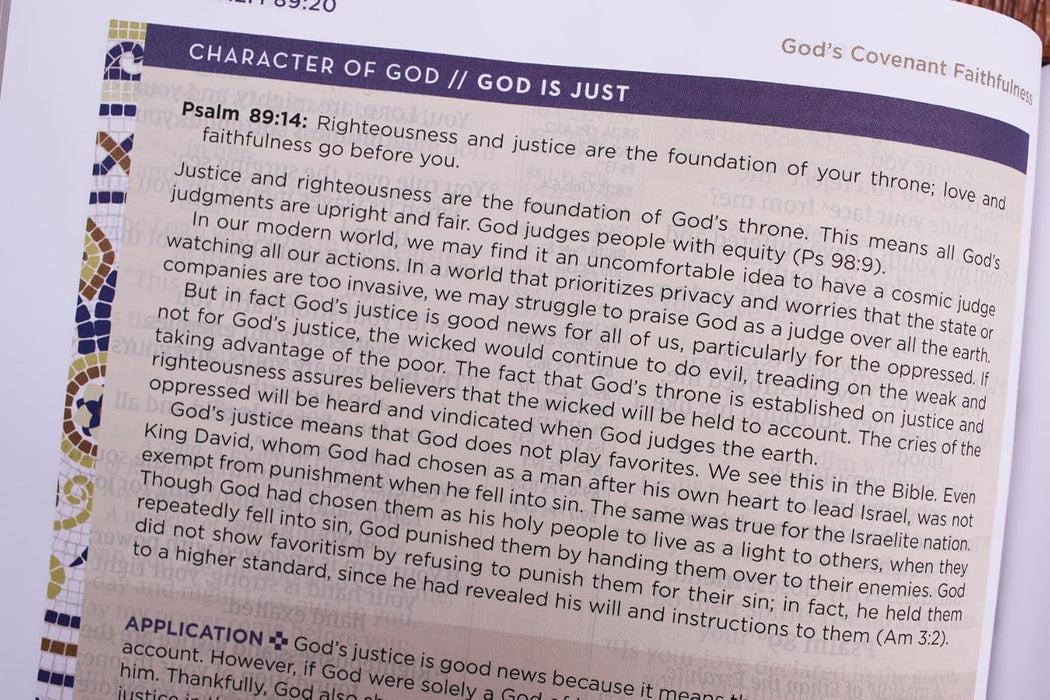 NIV Application Bible, Large Print, Leathersoft, Brown, Red Letter, Comfort Print