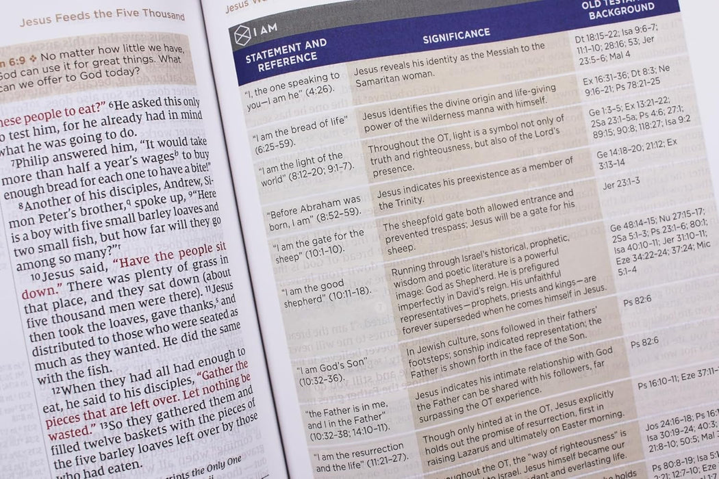 NIV Application Bible, Leathersoft, Coral/Gray, Red Letter, Comfort Print