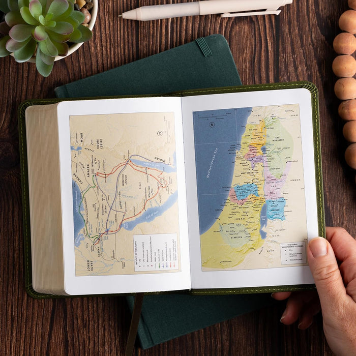 CSB Large Print Compact Reference Bible, Digital Study Edition, Olive LeatherTouch