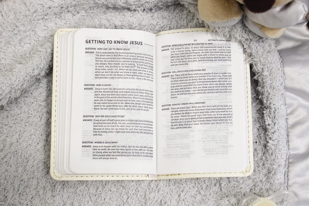 NIV, Tiny Testament Bible, New Testament, Leather soft, Pink, Comfort Print