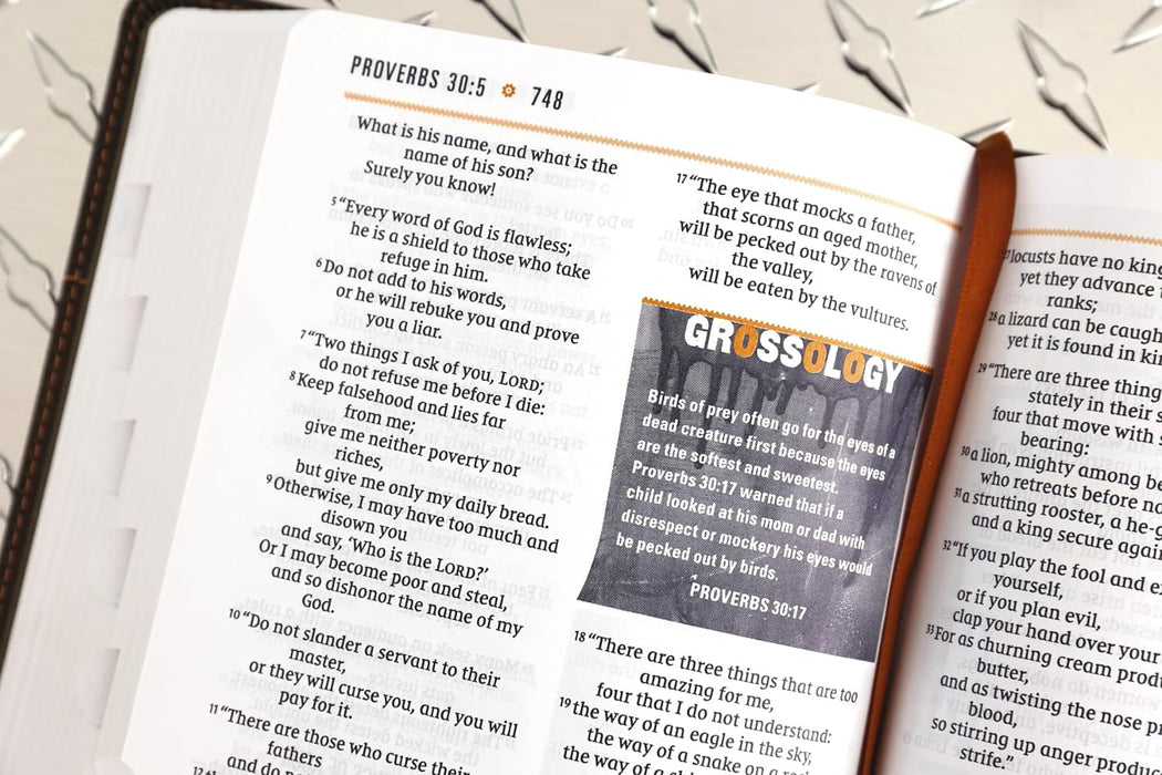 NIV Boys' Bible, Leathersoft Camo, Indexed - Morning Star Christian Bookstores