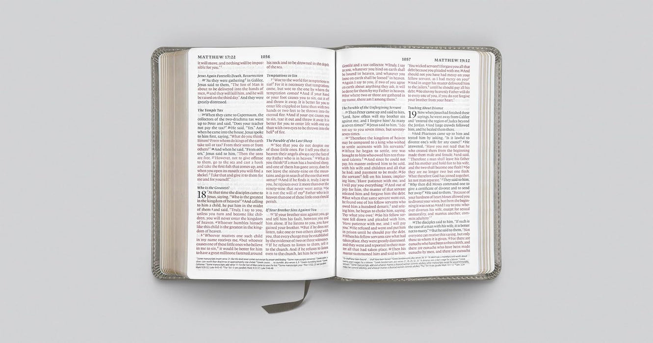 ESV Large Print Compact Bible, Red Letter, TruTone®, Stone, Branch Design