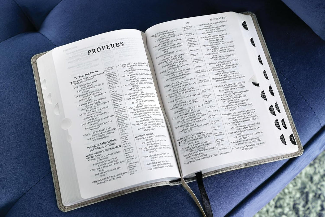 NIV, Compact Center-Column Reference Bible, Leathersoft, Stone, Red Letter, Thumb Indexed, Comfort Print