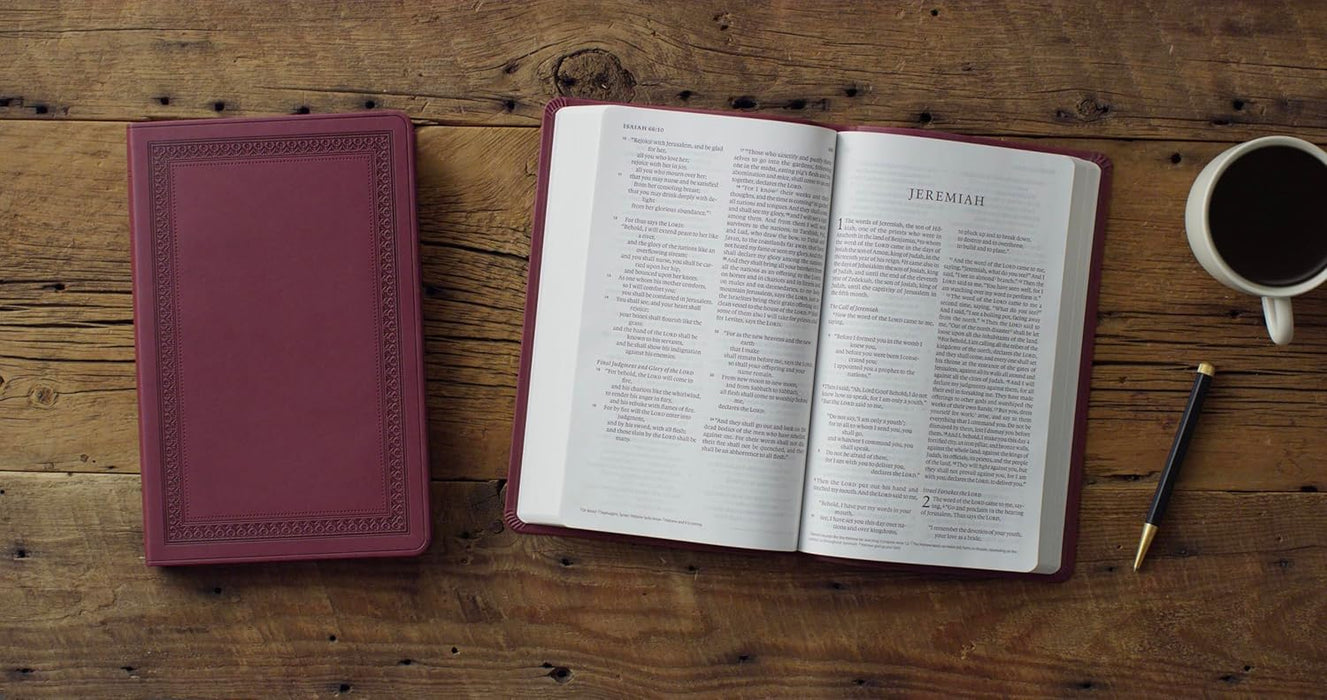 ESV Large Print Value Thinline Bible (TruTone, Mahogany, Border Design)