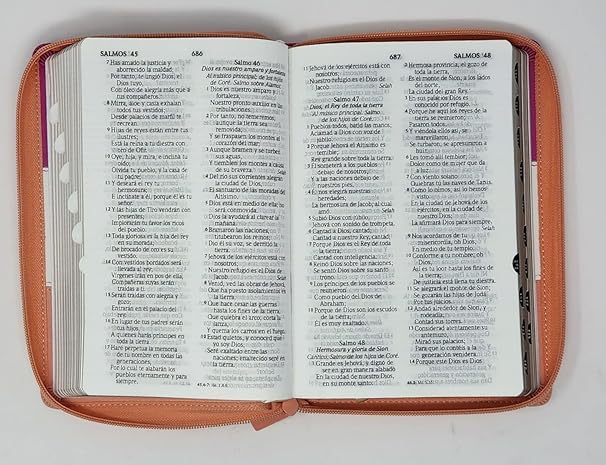 Biblia RVR60 Letra Grande - Tamaño manual, Tricolor: guinda/crema/melón con indice y cierre