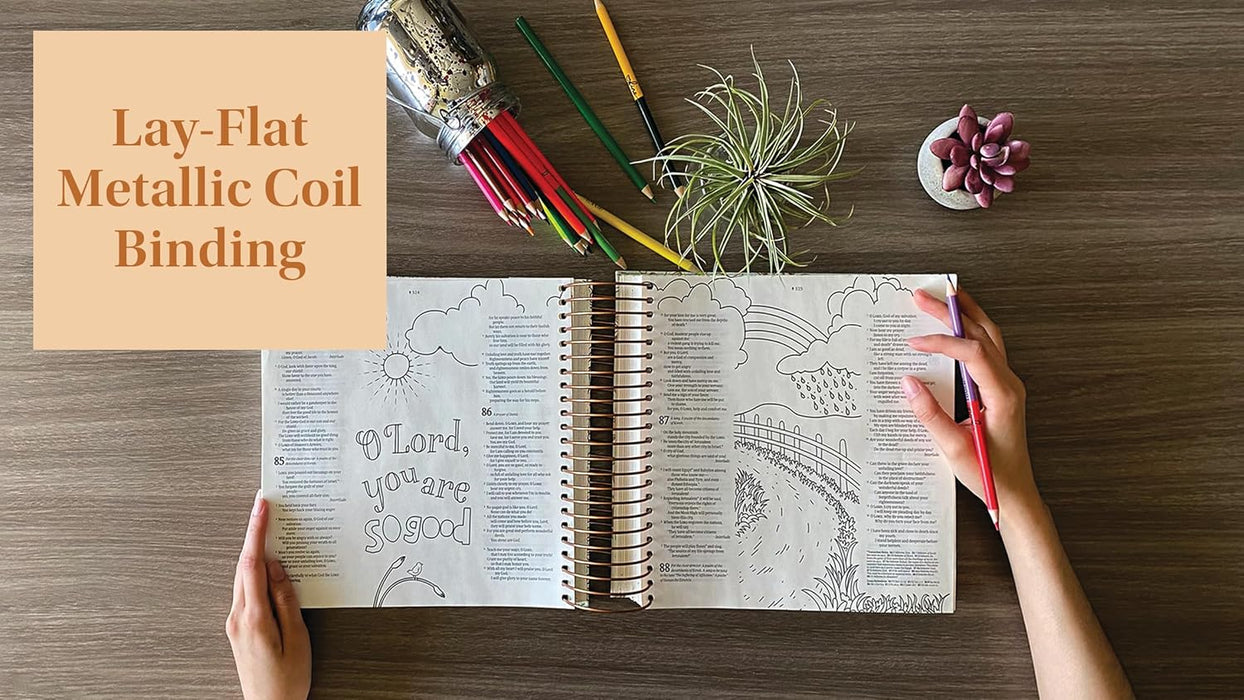 NLT DaySpring Inspire Illustrating Bible, Filament Mint Floral