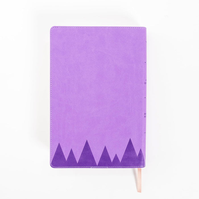 RVR 1960 Biblia para niños exploradores, lavanda compás símil piel / RVR 1960 Kid's explorer Bible, lavander, LeatherTouch (Spanish Edition)