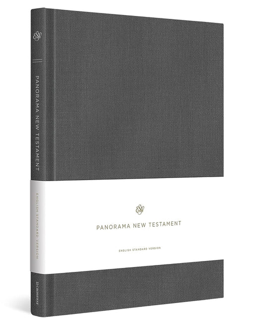 ESV PANORAMA NT GRAY CLOTH O/B - Morning Star Christian Bookstores