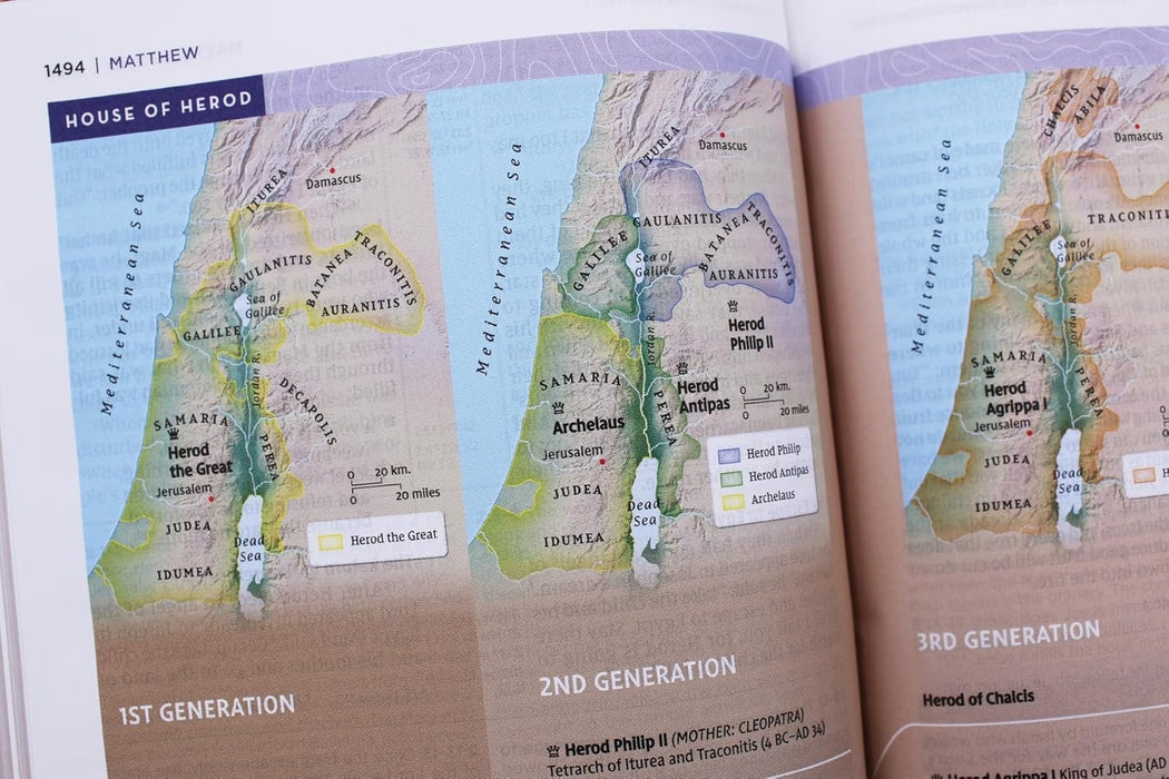 NIV Application Bible, Personal Size, Leathersoft, Brown/Blue, Red Letter, Comfort Print