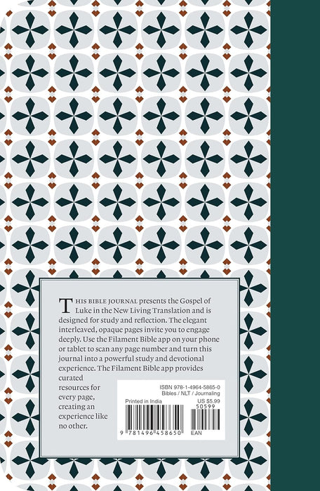 NLT Filament Bible Journal: Luke - Morning Star Christian Bookstores