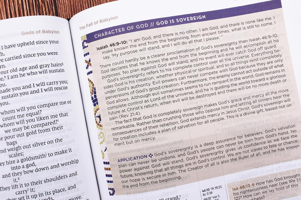 NIV Application Bible, Leathersoft, Brown, Red Letter, Comfort Print