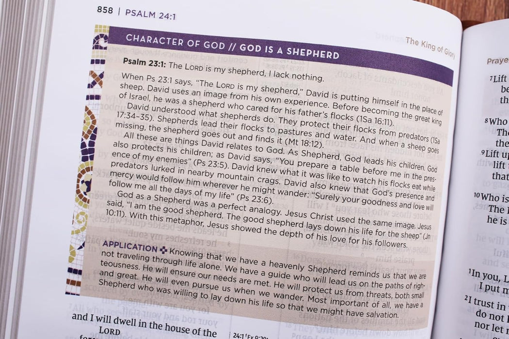 NIV Application Bible, Personal Size, Leathersoft, Brown/Blue, Red Letter, Comfort Print