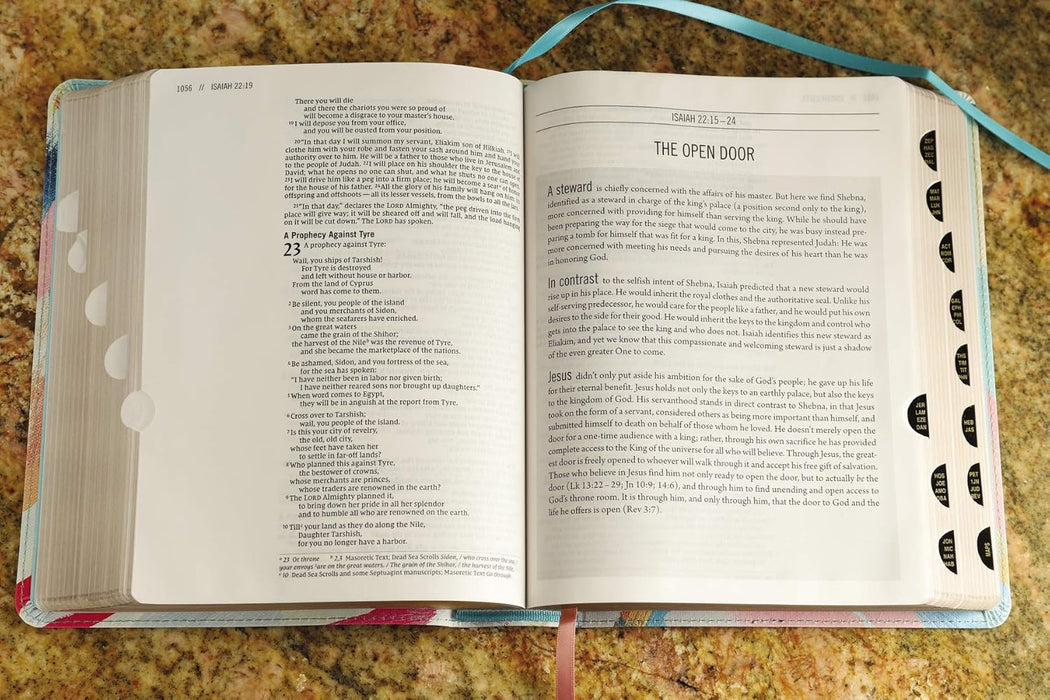 NIV The Jesus Bible- MultiColor/Teal Leathersoft