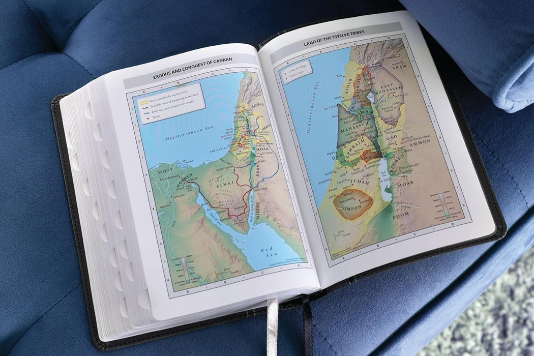 NIV, Compact Center-Column Reference Bible, Leathersoft, Black, Red Letter, Thumb Indexed, Comfort Print