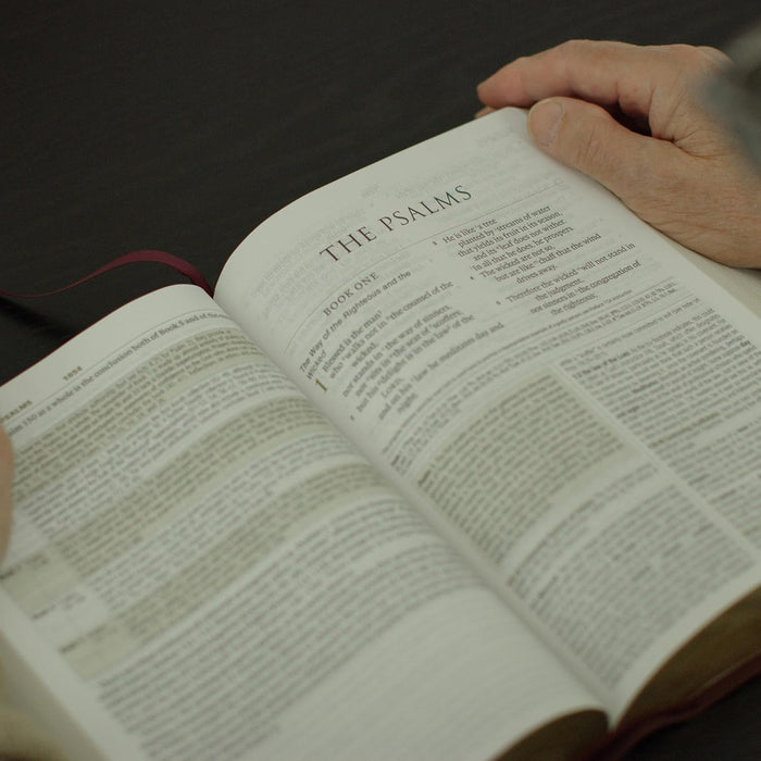 ESV Study Bible, Large Print TruTone®, Brown/Cordovan, Portfolio Design