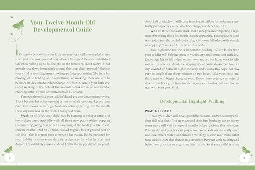 Walking in Wonder- A Devotional Journal For Moms - Morning Star Christian Bookstores