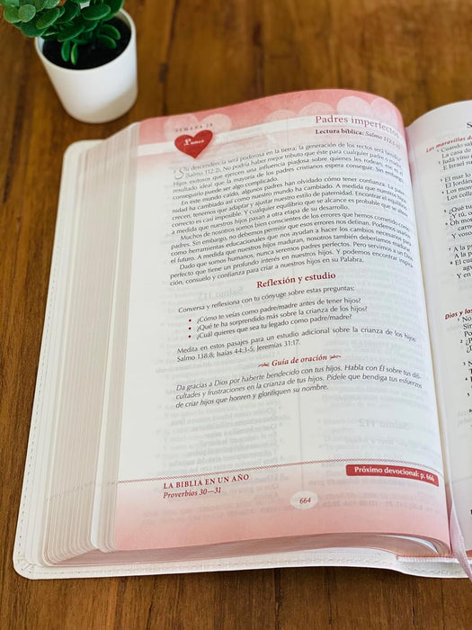 Biblia devocional los lenguajes del amor RVR60 - Edición Oro Rosa