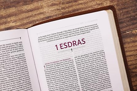 NRSVue, Holy Bible with Apocrypha, Compact, Leathersoft, Brown, Comfort Print - Morning Star Christian Bookstores