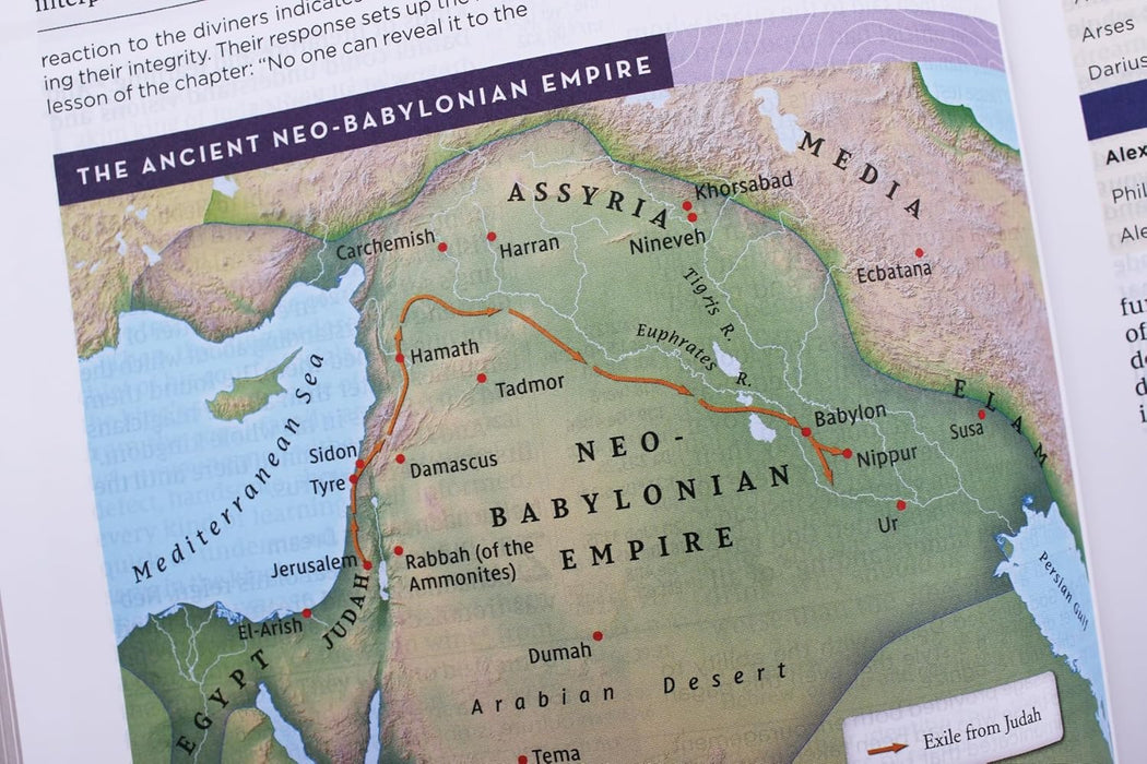 NIV Application Bible, Large Print, Leathersoft, Brown, Red Letter, Comfort Print