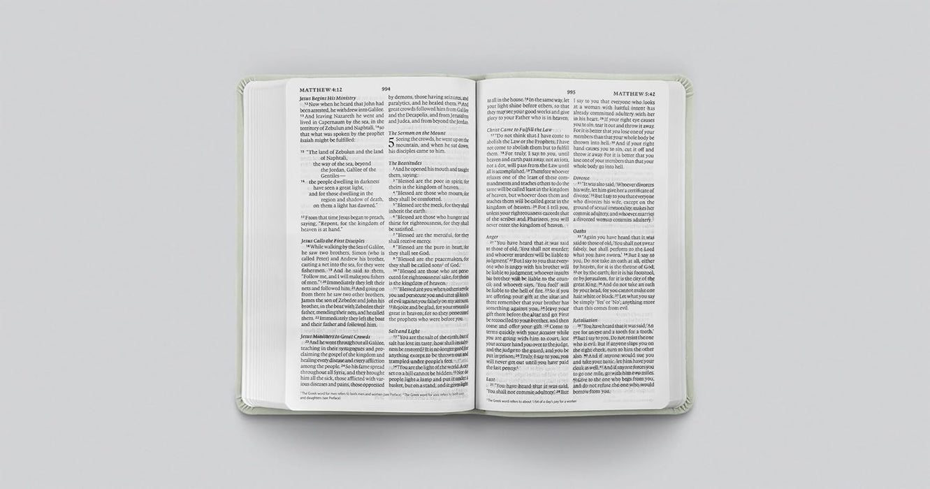 ESV Large Print Value Thinline Bible (TruTone, River Stone, Branch Design)