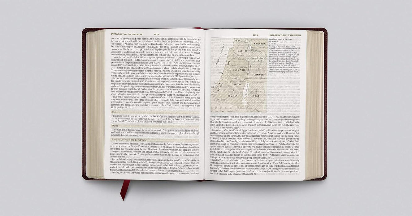 ESV Study Bible, Large Print, TruTone Mahogany Trellis Design
