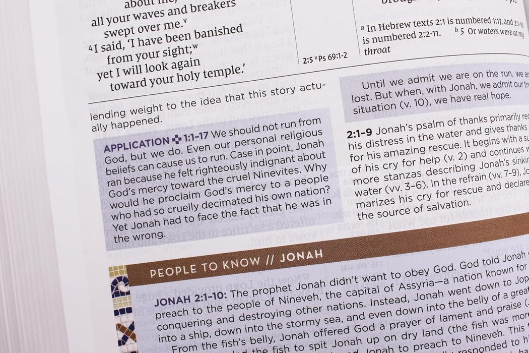 NIV Application Bible, Leathersoft, Coral/Gray, Red Letter, Comfort Print