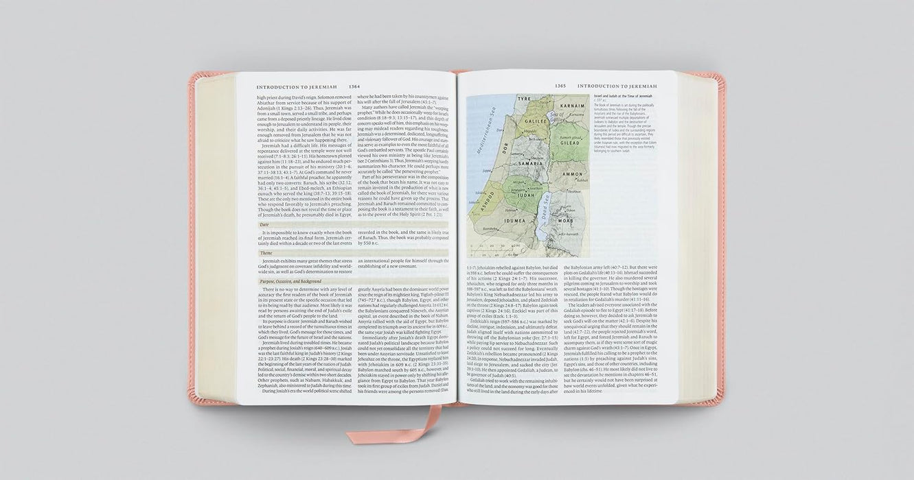 ESV Study Bible (TruTone, Pink, Fleur-de-lis Design)