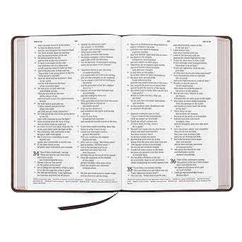 CSB Large Print Thinline Bible, Black/Brown LeatherTouch