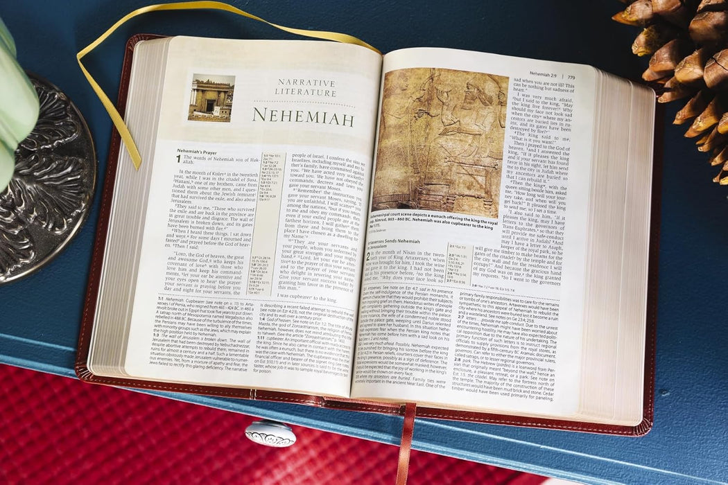 NIV, Cultural Backgrounds Study Bible, Leathersoft Brown