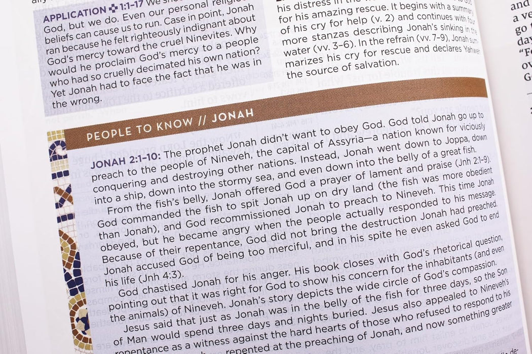 NIV Application Bible, Leathersoft, Brown, Red Letter, Comfort Print