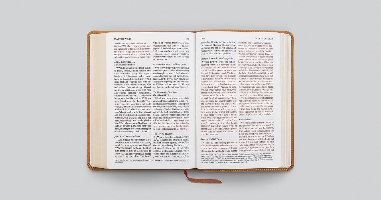 ESV Large Print Personal Size Bible, Red Letter, TruTone, Nubuck Caramel, Wildflower Design