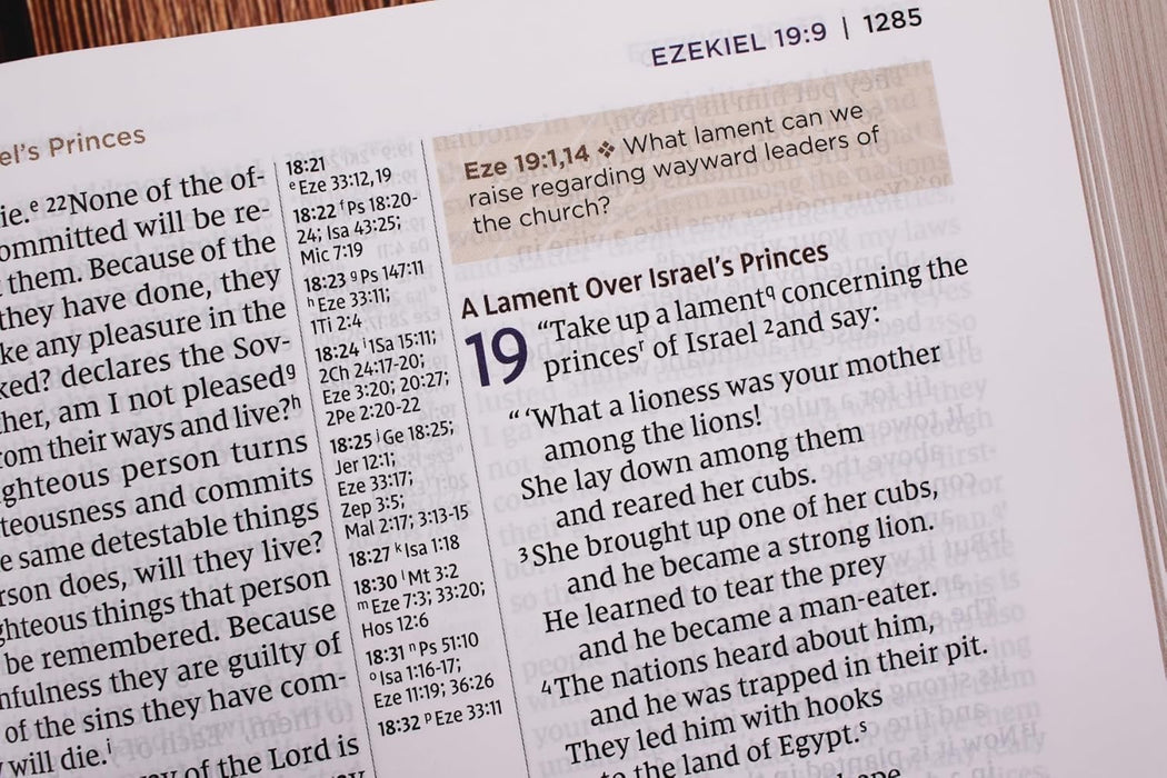 NIV Application Bible, Large Print, Leathersoft, Brown, Red Letter, Comfort Print