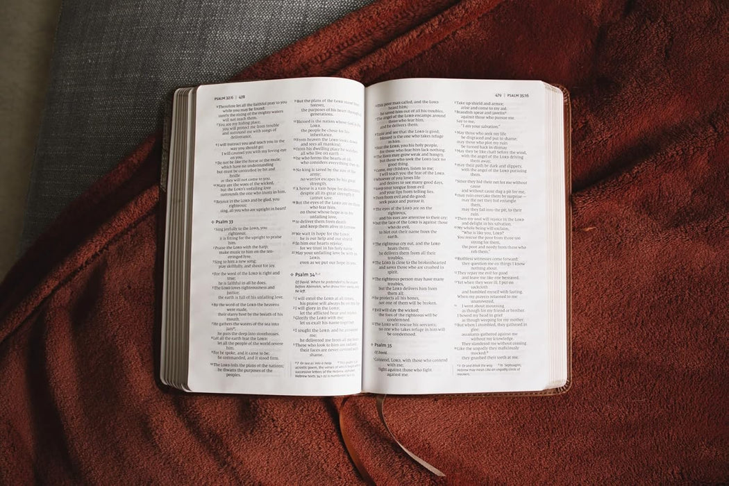 NIV, Thinline Bible, Leathersoft, Brown