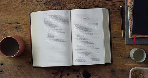ESV Reader's Bible (Trutone, Brown/Cordovan, Portfolio Design) - Morning Star Christian Bookstores