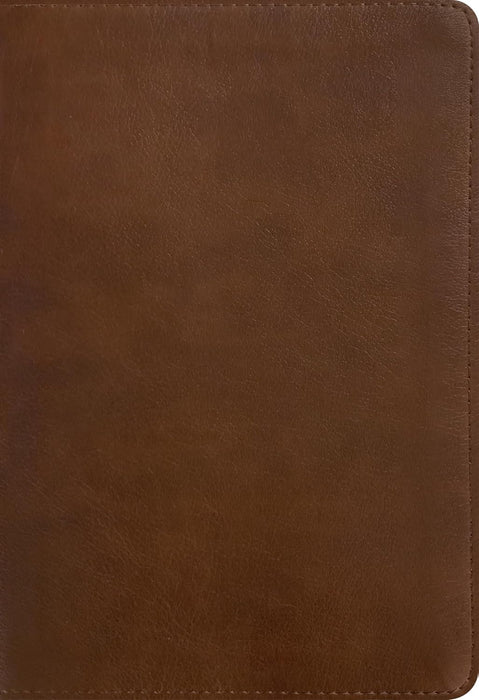 NLT Filament Lg Print Thinline Ref Bible Rustic Brown