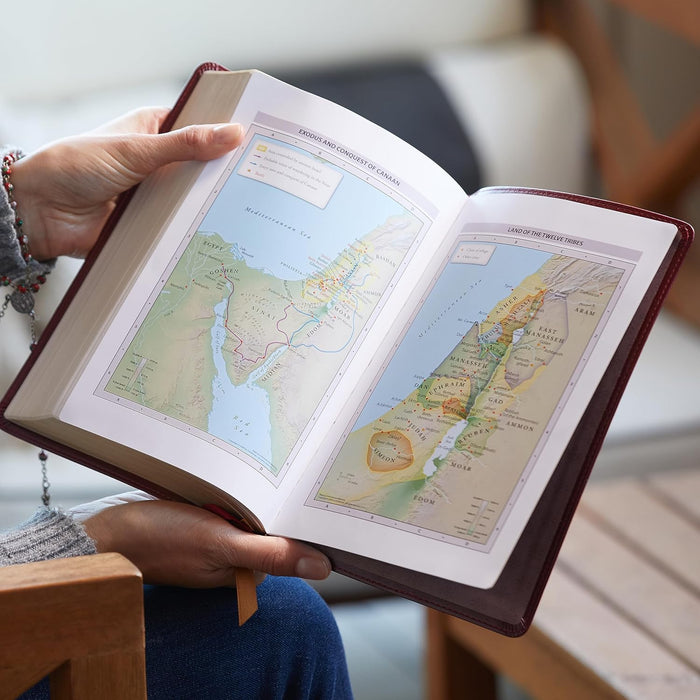 NRSV Large Print Standard Catholic Bible, Brown Leathersoft