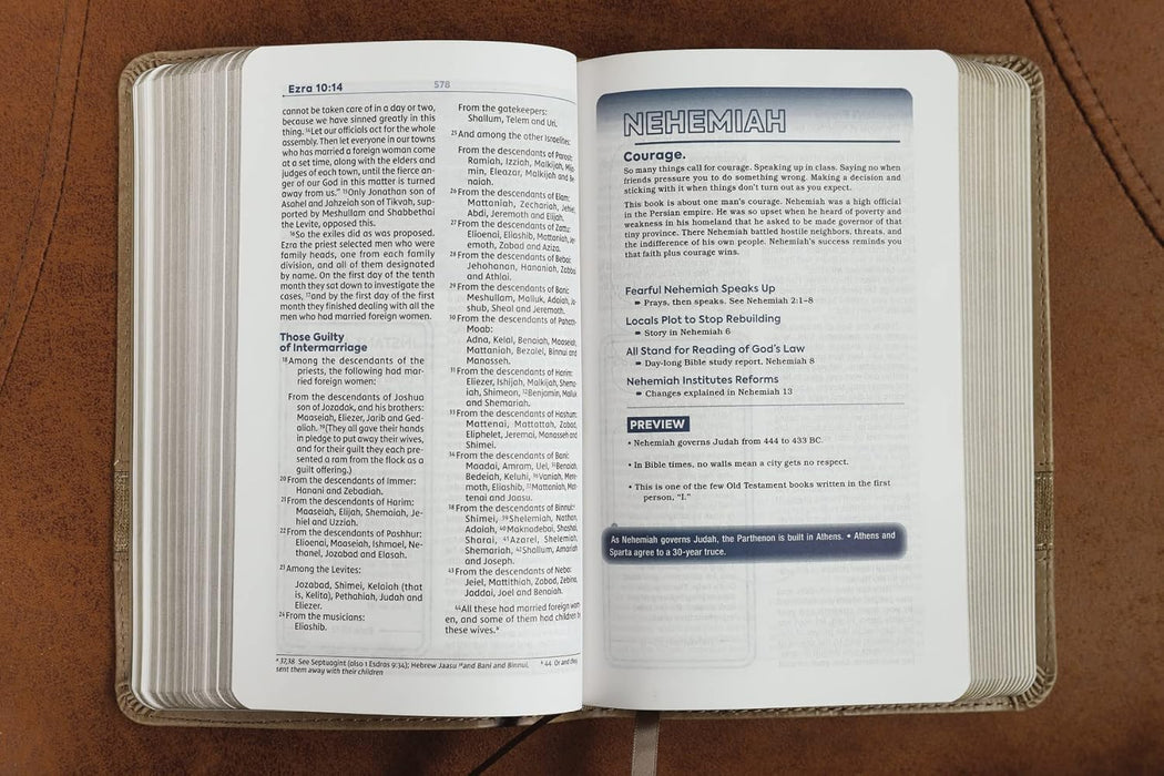 NIV Teen Study Bible Compact Leathersoft Brown