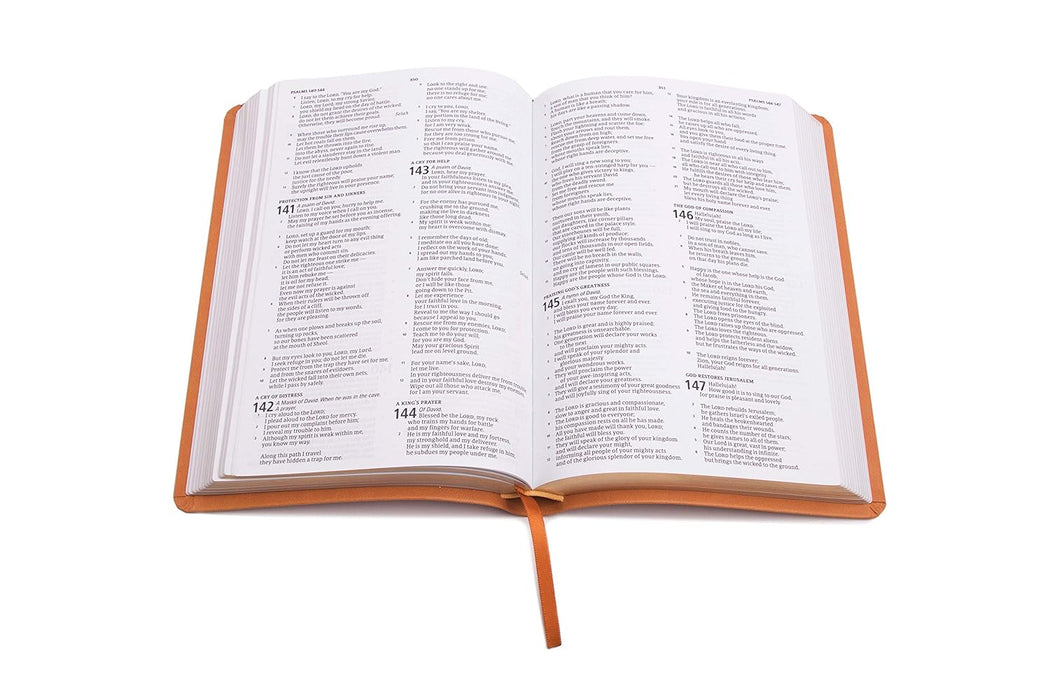 CSB DELUXE GIFT BIBLE, TAN LT - Morning Star Christian Bookstores
