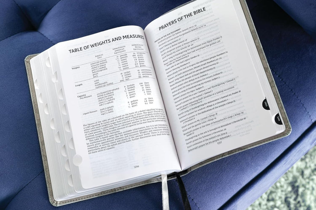 NIV, Compact Center-Column Reference Bible, Leathersoft, Stone, Red Letter, Thumb Indexed, Comfort Print