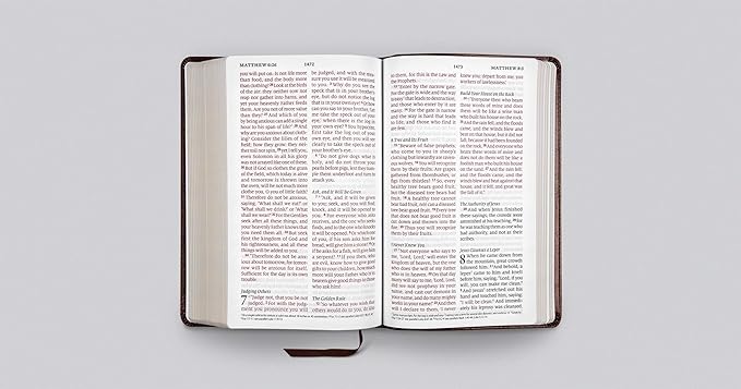 ESV Lg Print Personal Size Bible TruTone Chestnut