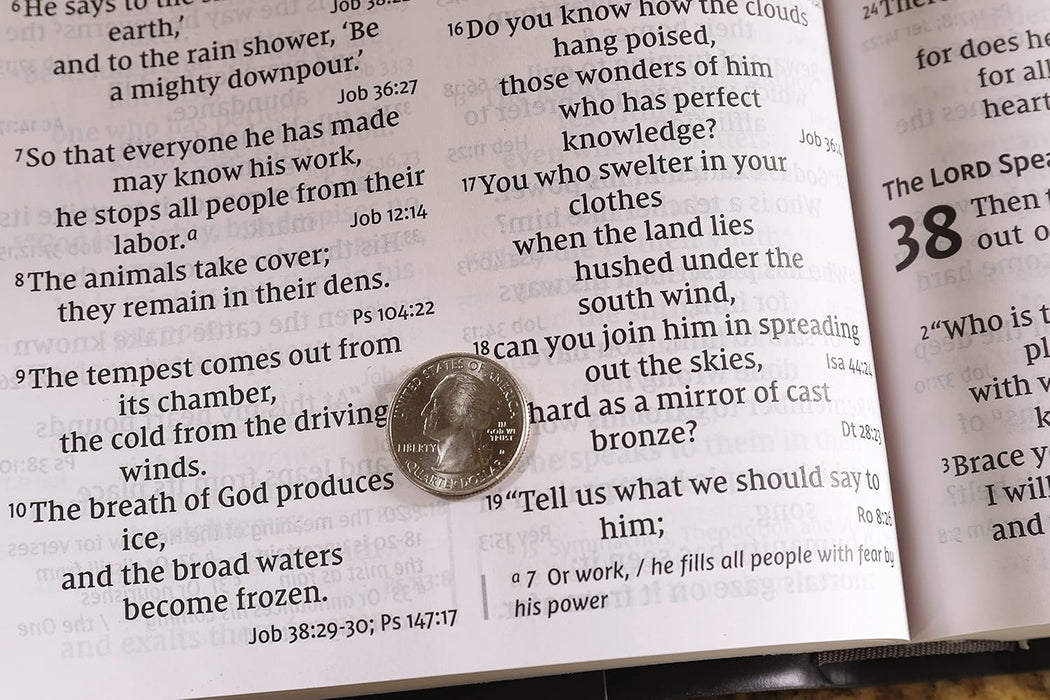 NIV, Super Giant Print Reference Bible, Pink, Indexed