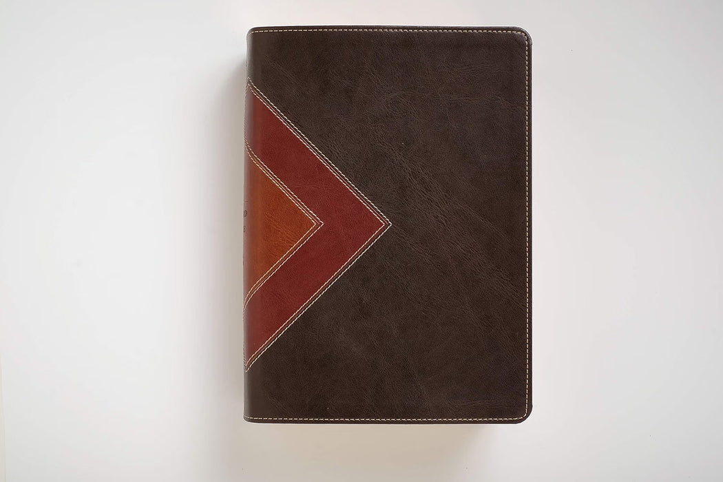 NLT Illustrated Study Bible LeatherLike Brown/Tan